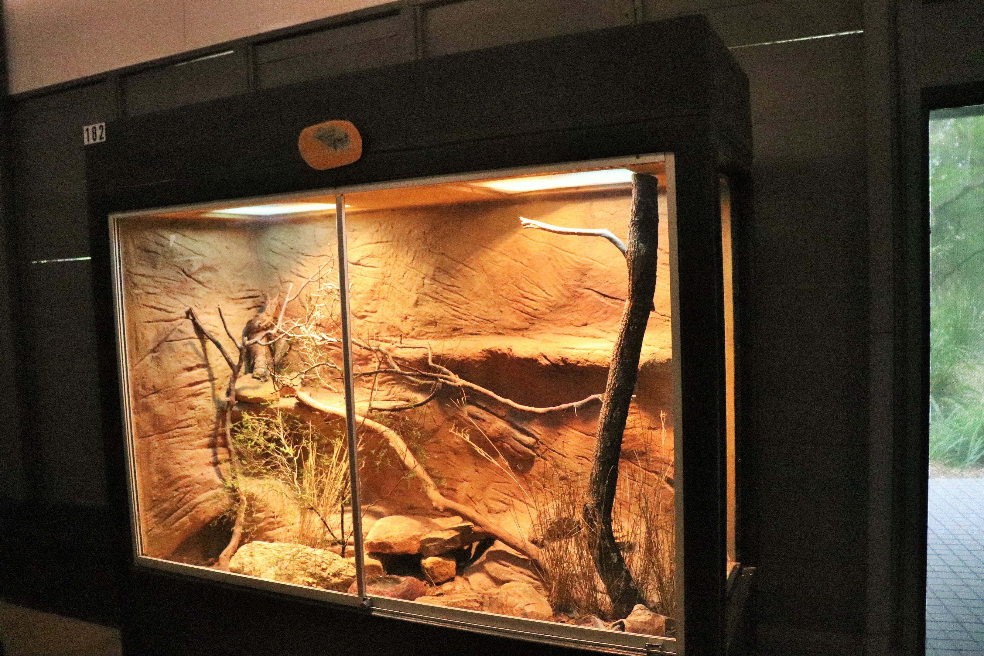 Spiny-tailed Monitor Enclosure
