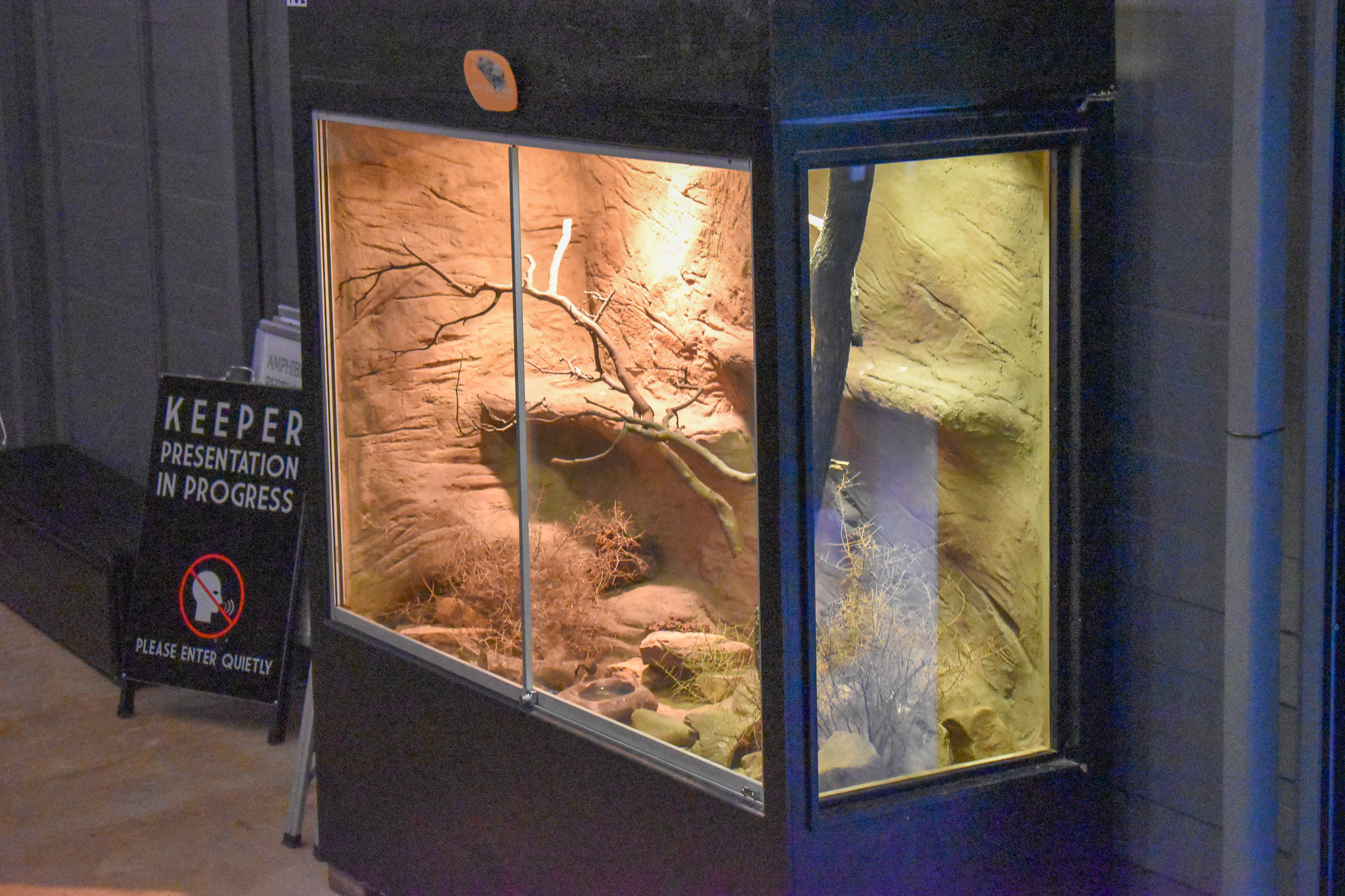 Spiny-tailed Monitor Enclosure