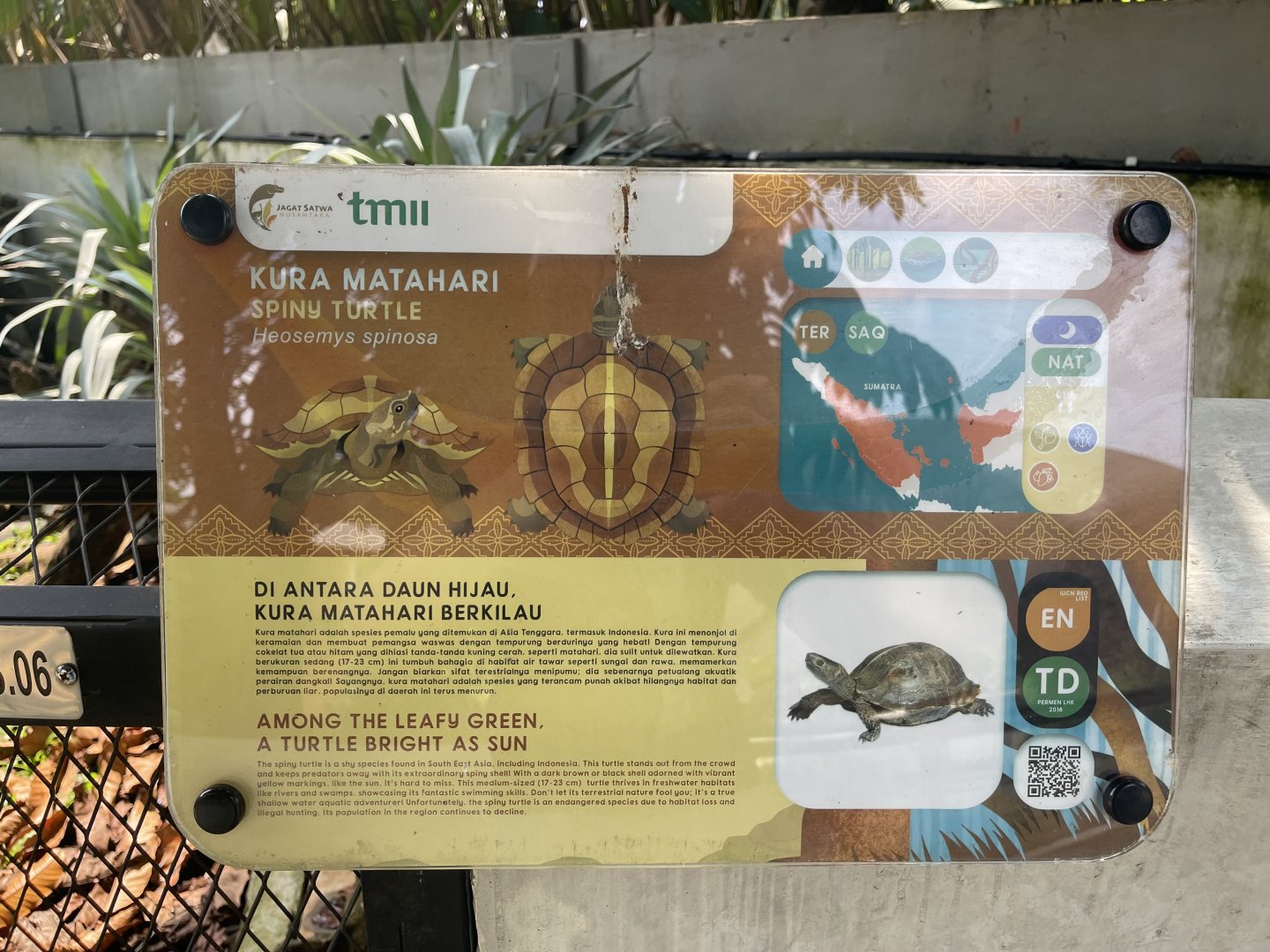 spiny turtle signage - museum komodo
