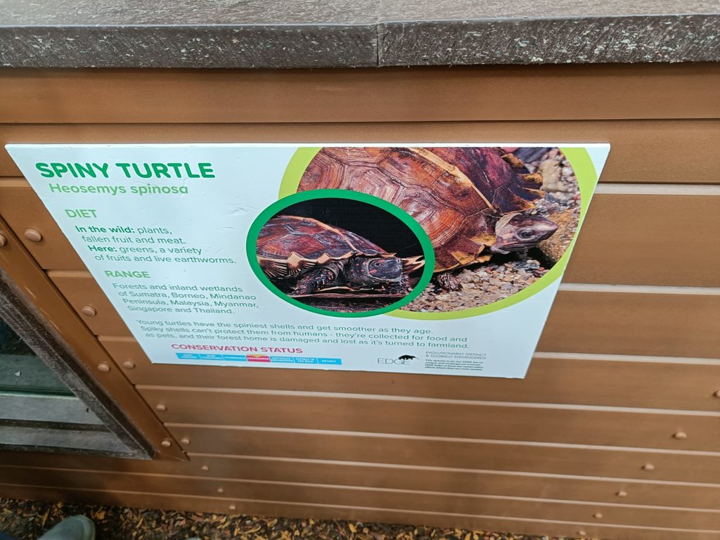 Spiny Turtle Signage