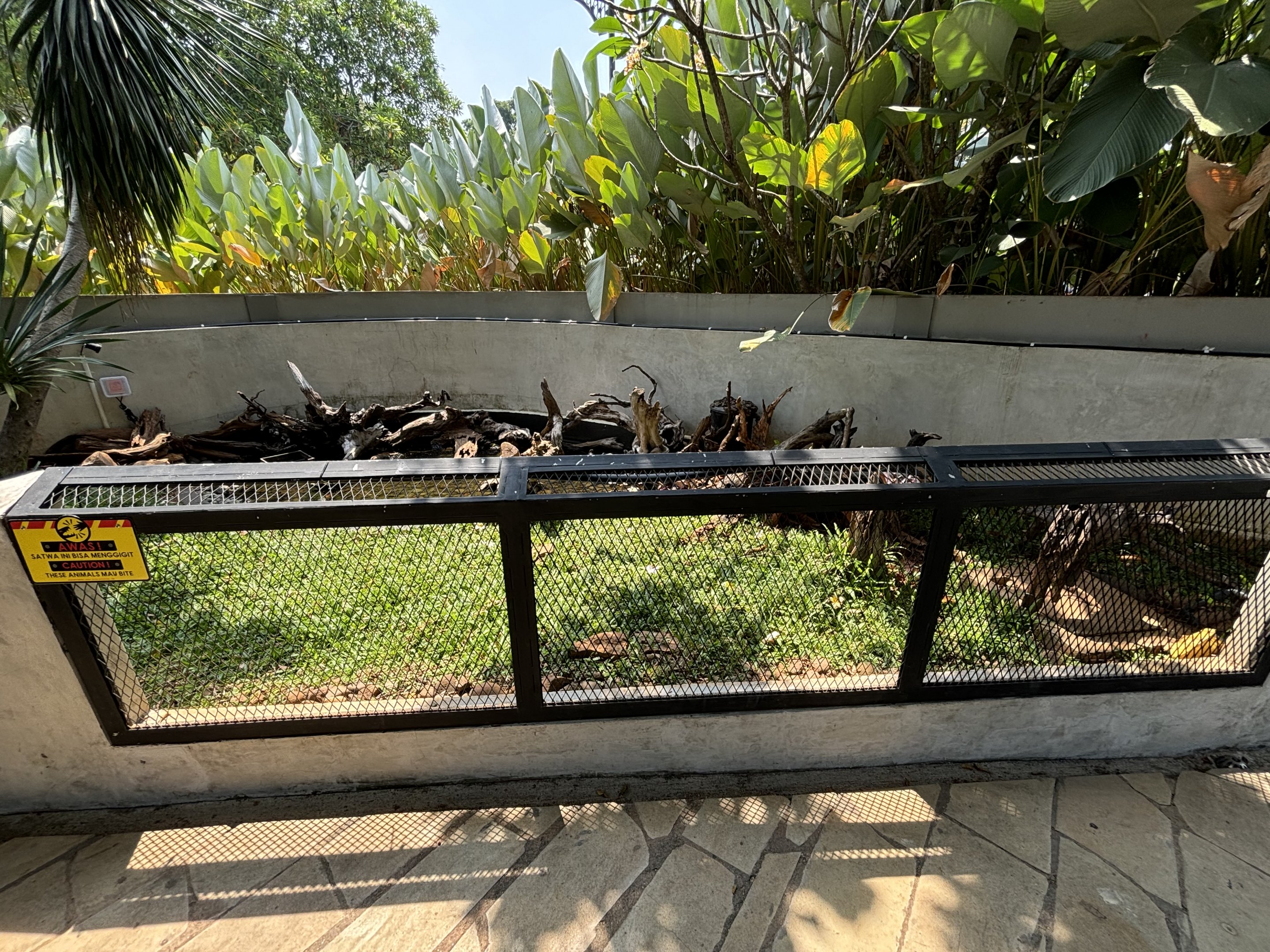 Spiny Turtle + Wallacean Box Turtle Exhibit