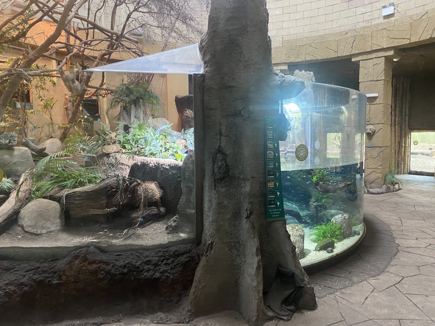 Spirit of the Jaguar 181021