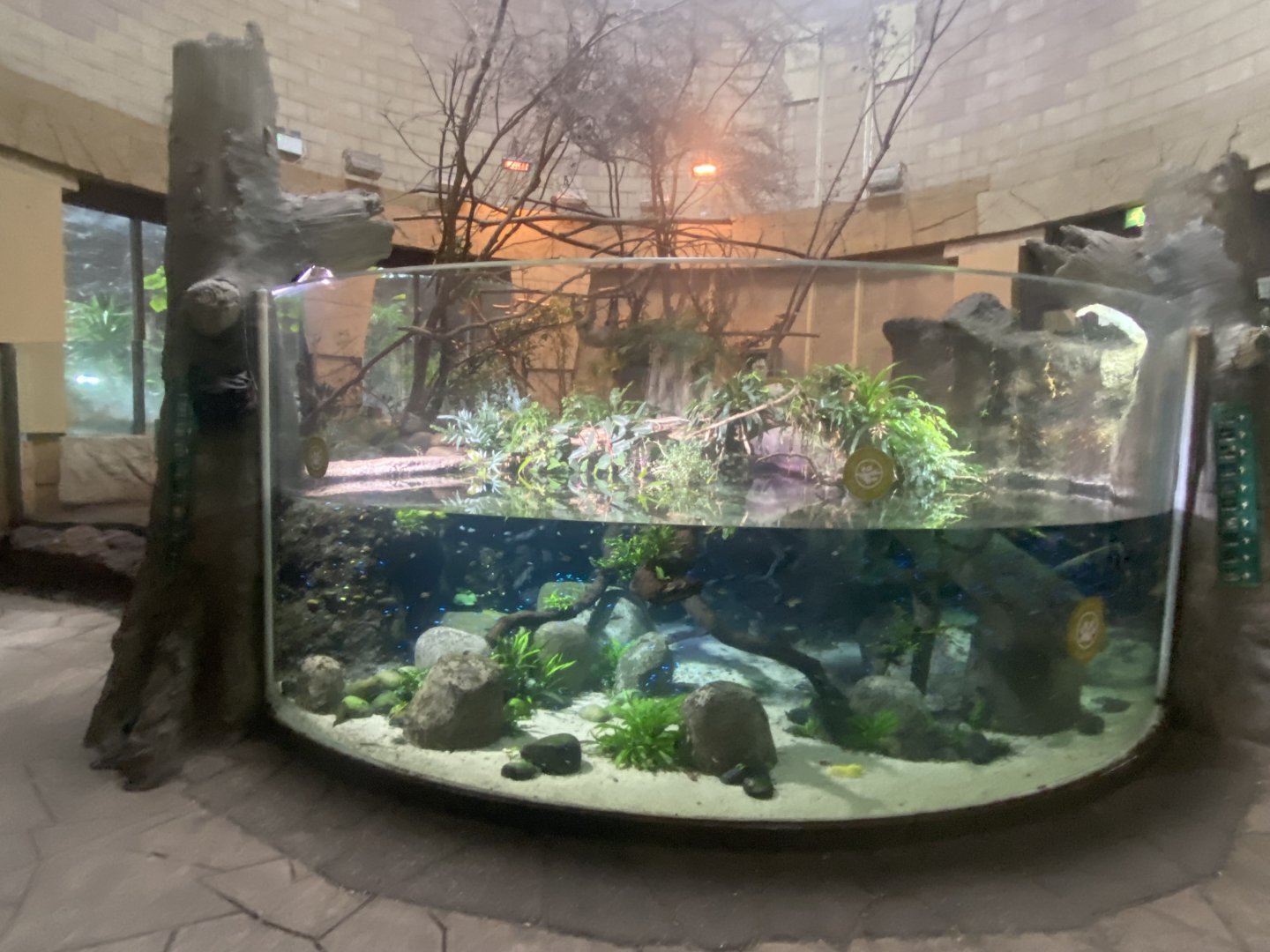 Spirit of the Jaguar 181021