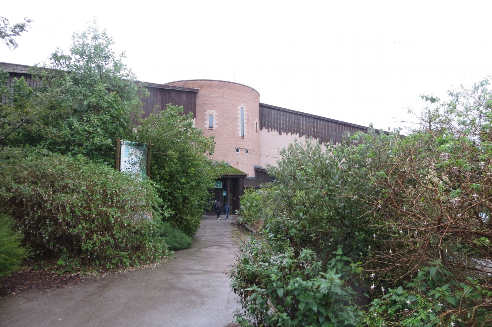 Spirit of the Jaguar 261019