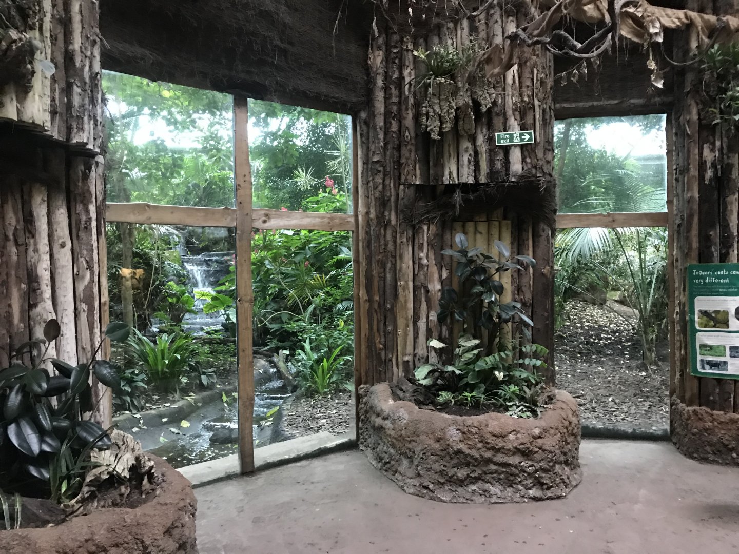 Spirit of the Jaguar 261019