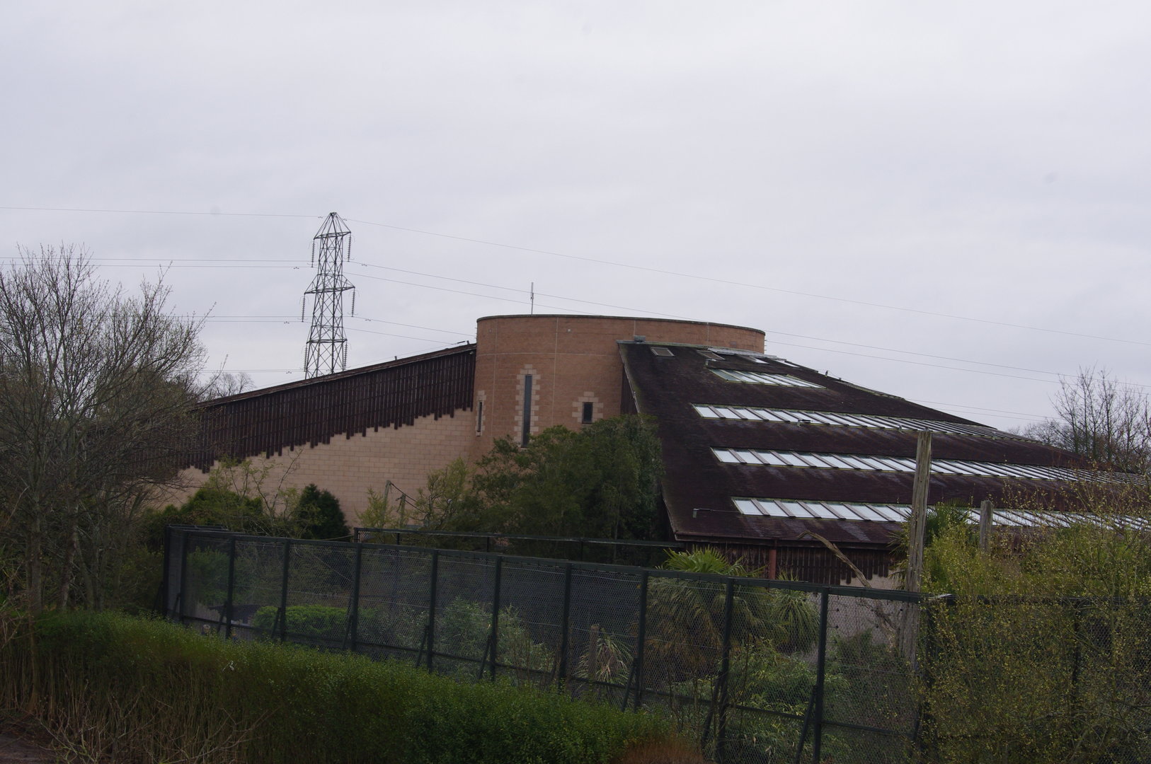 Spirit of the Jaguar- 5/4/2023