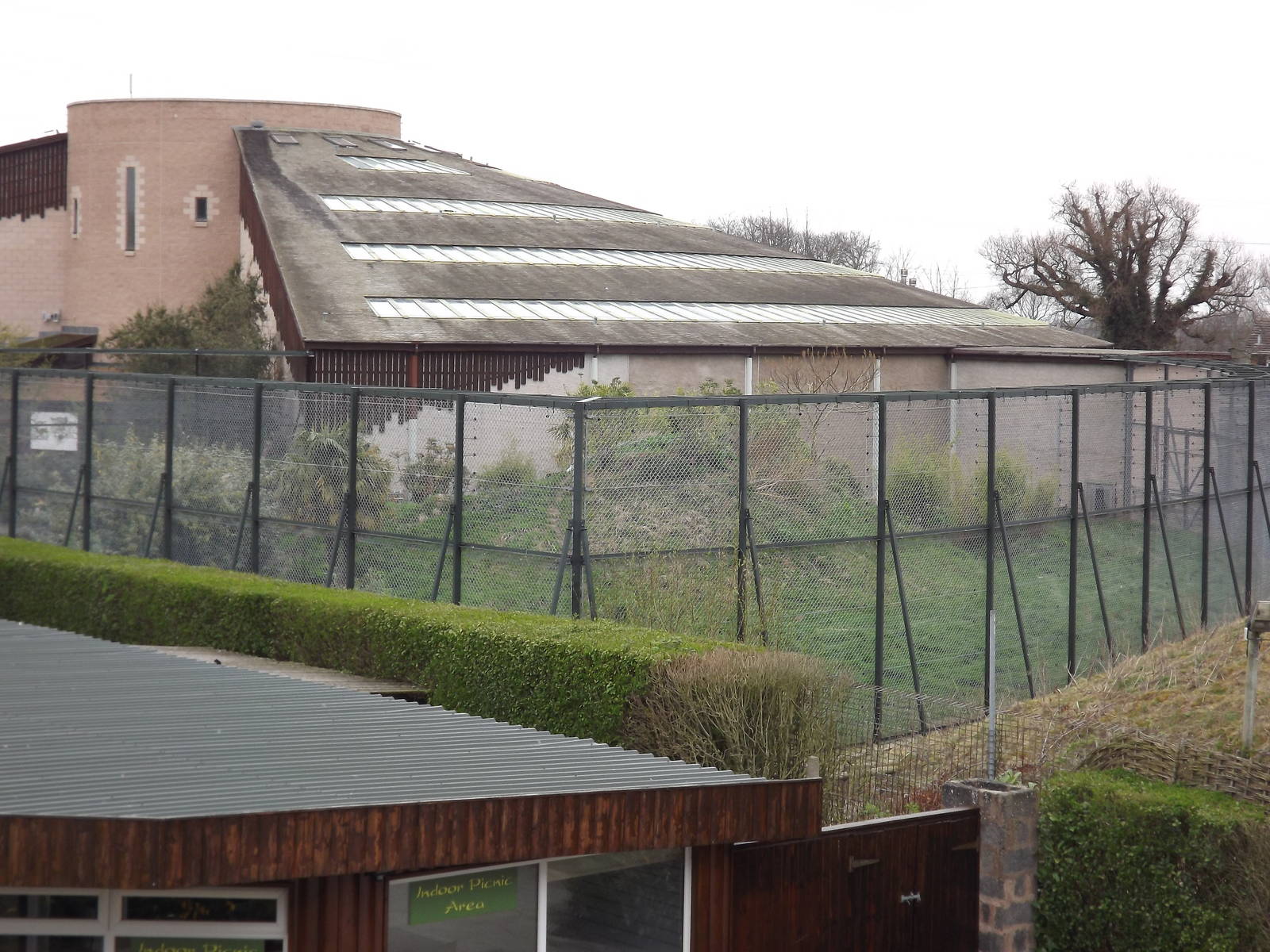 Spirit of the Jaguar at Chester Zoo 31/03/12