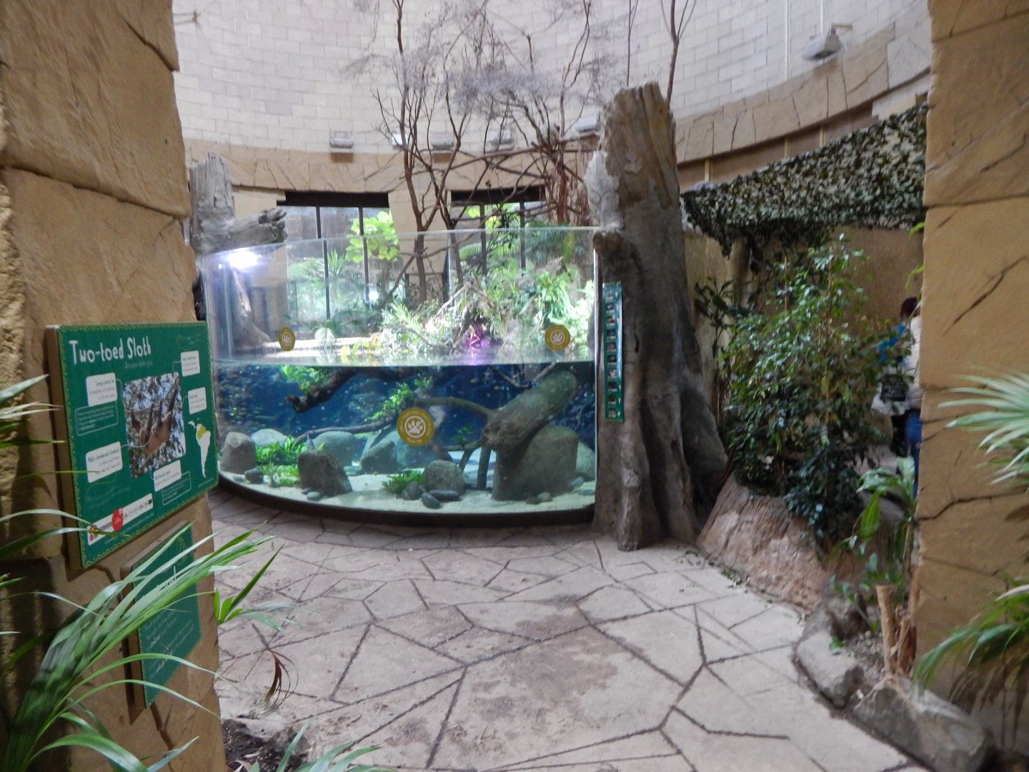 Spirit of the Jaguar indoors 081020