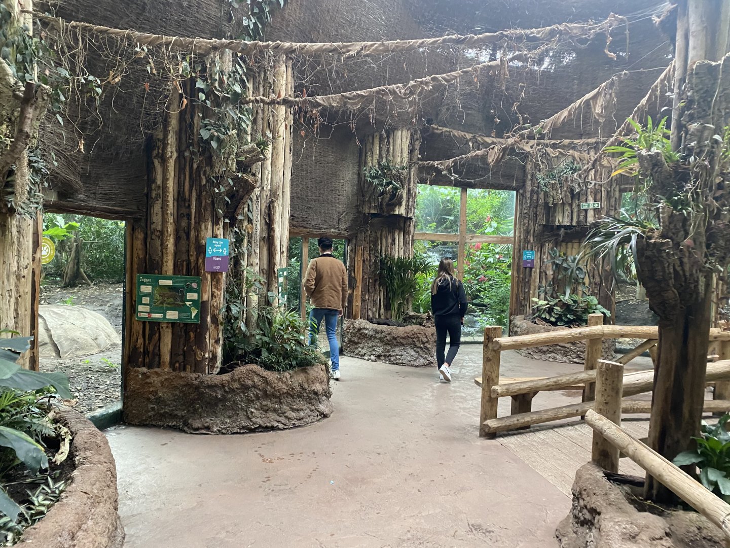 Spirit of the Jaguar indoors 110920