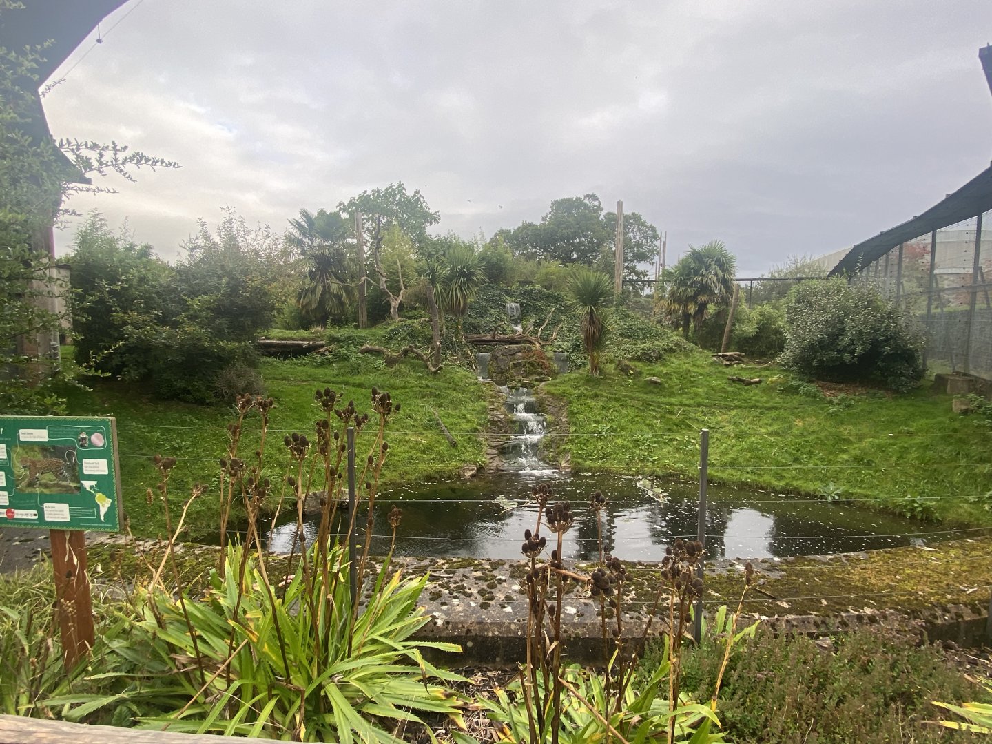 Spirit of the Jaguar - Jaguar exhibit 181021