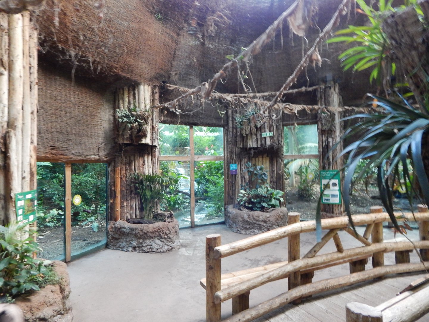 Spirit of the Jaguar - Jaguar indoors 081020