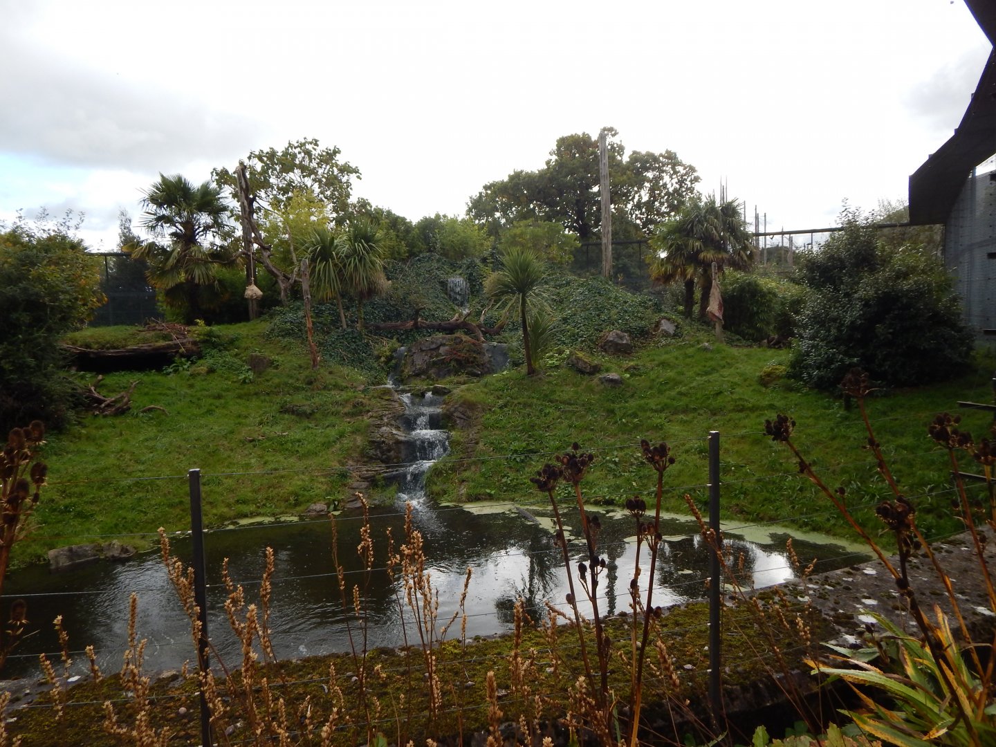 Spirit of the Jaguar - Jaguar outdoors 081020