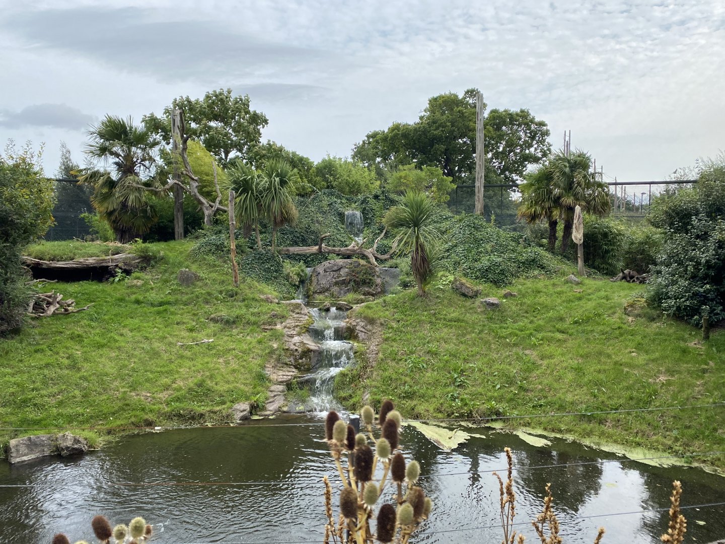 Spirit of the Jaguar - Jaguar outdoors 110920