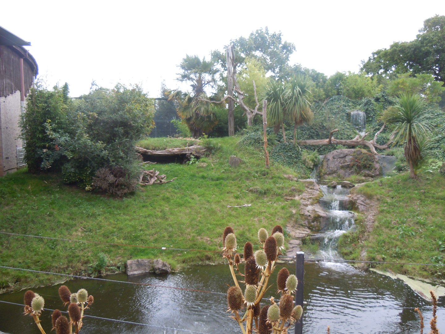 Spirit of the Jaguar - Jaguar outdoors 110920