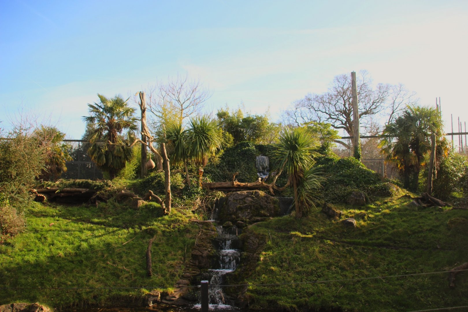 Spirit of the Jaguar outdoor enclosure