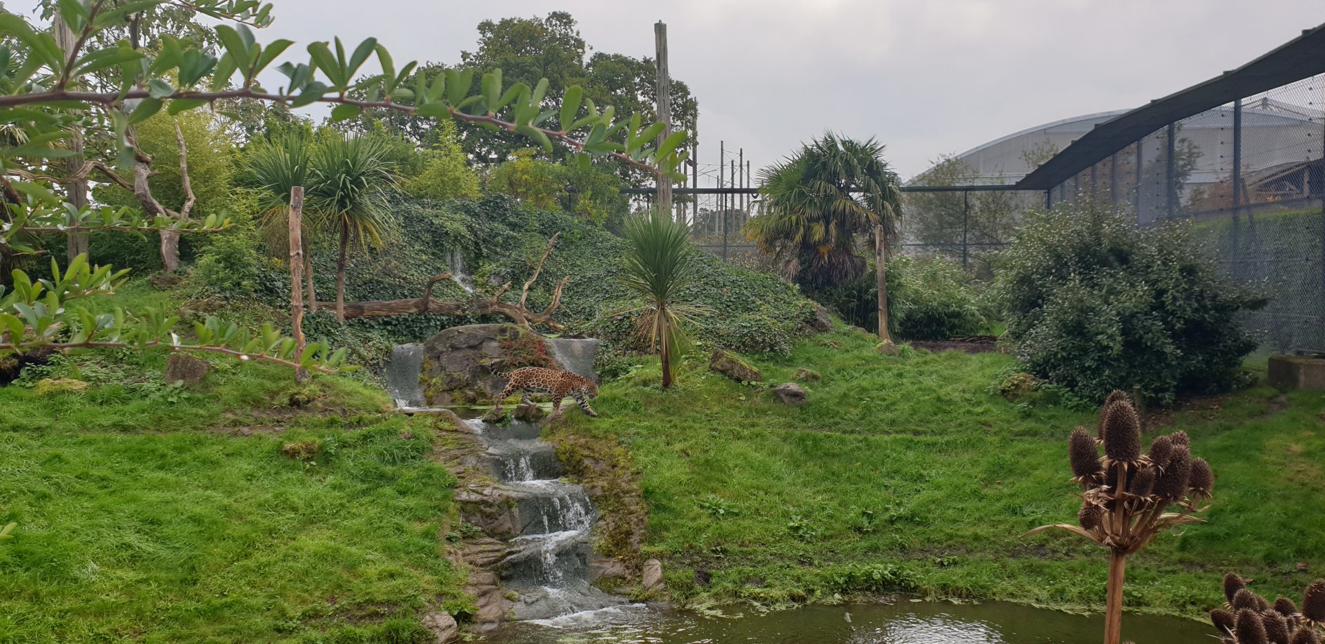 Spirit of the Jaguar, outdoor