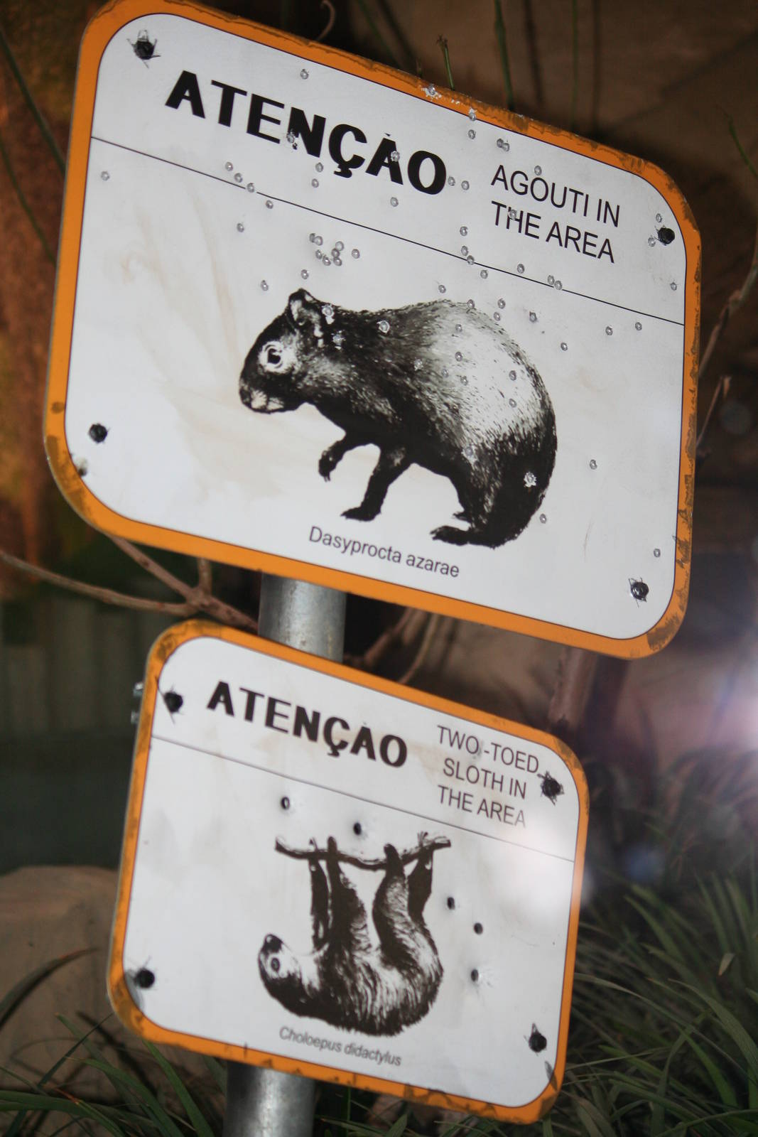 Spirit of the Jaguar signage