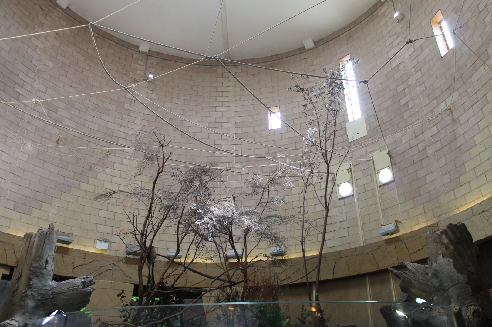 Spirit of the Jaguar - Sloth enclosure