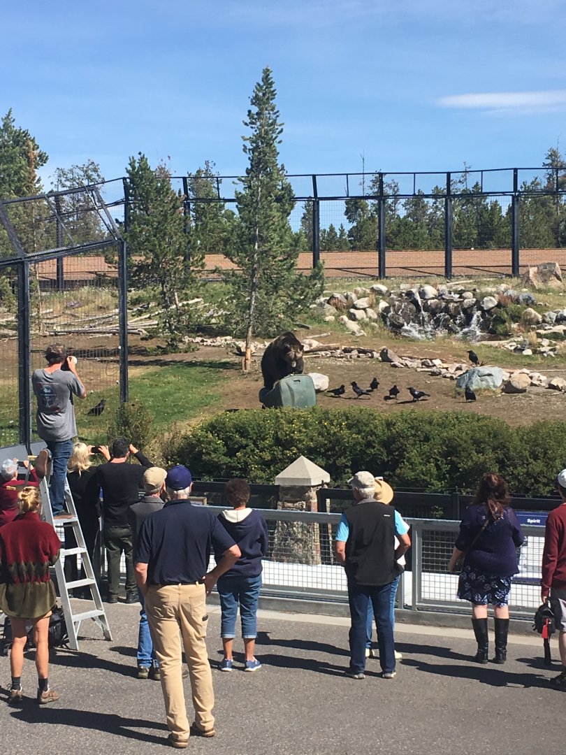 Spirit the destroyer