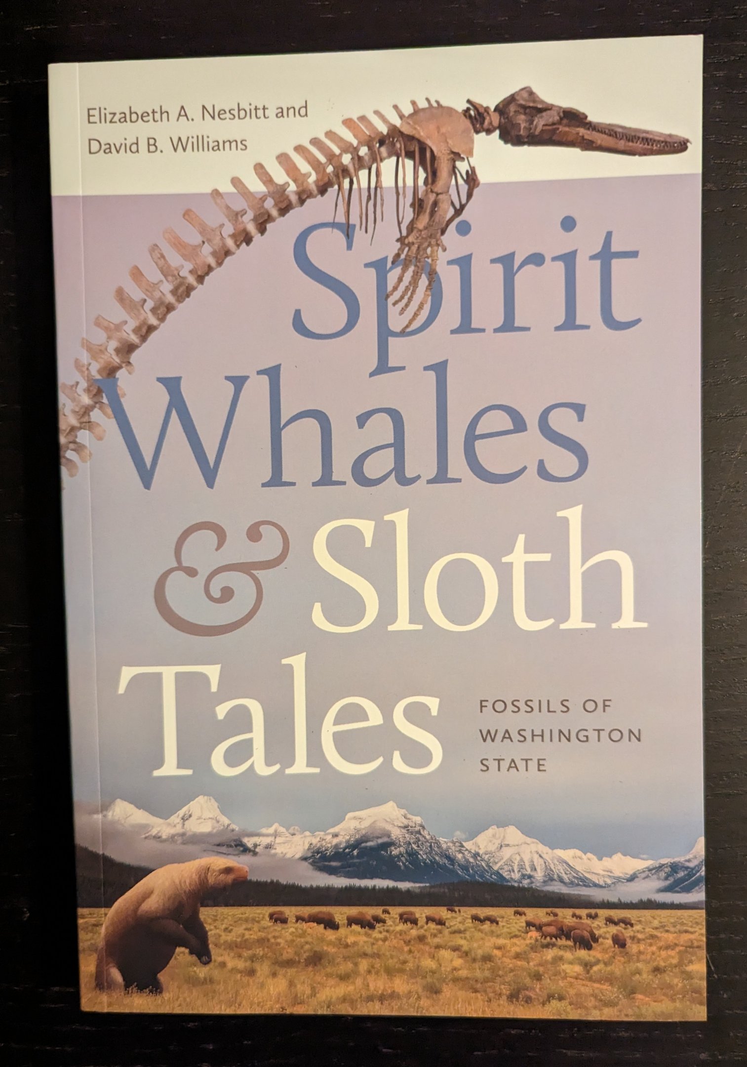 Spirit Whales and Sloth Tales: Fossils of Washington State
