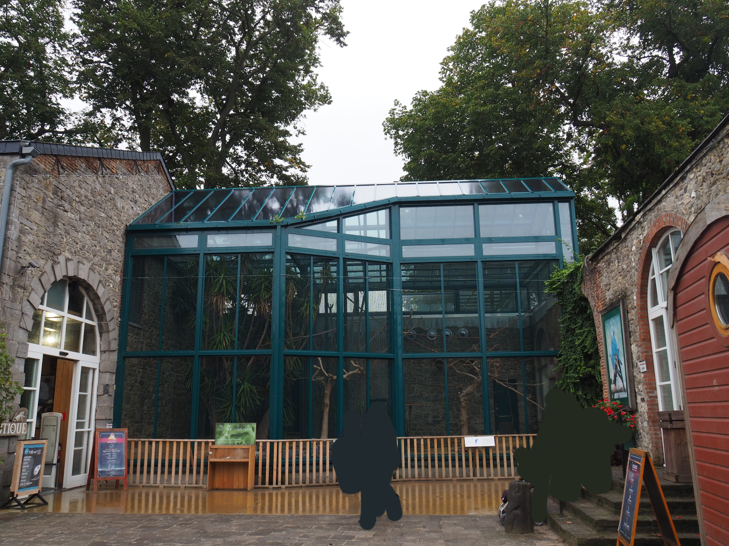 Spix's and Lear's macaw aviaries, 2019-10-04