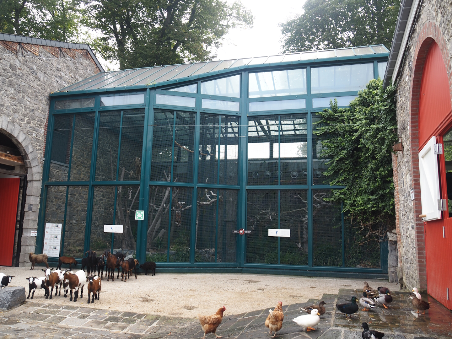 Spix's macaw and Lear's macaw aviaries now located in farm area, 2024-09-17