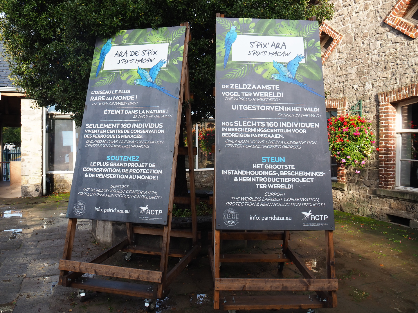 Spix's macaw breeding program signs, 2019-10-04