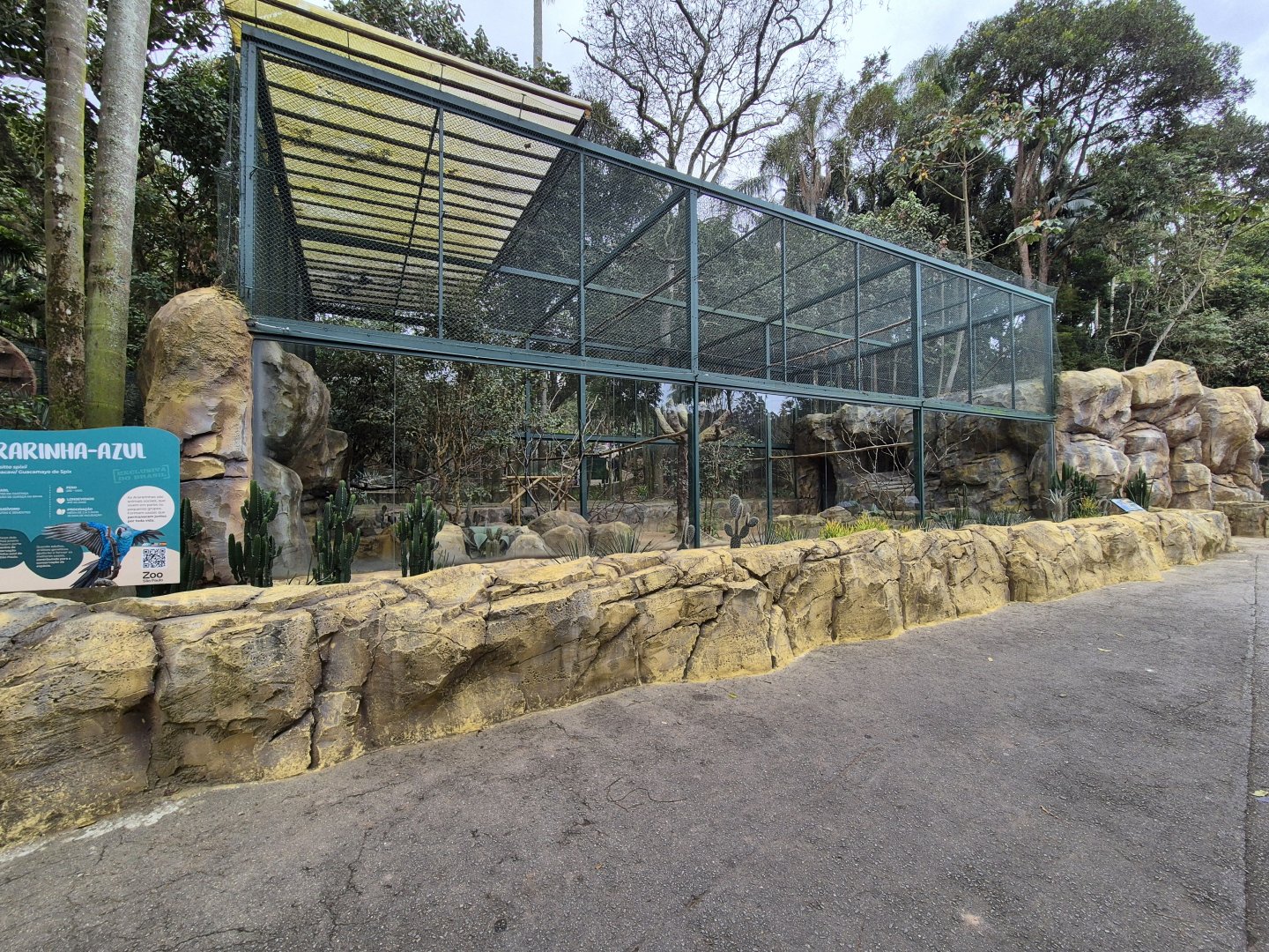 Spix’s Macaw exhibit