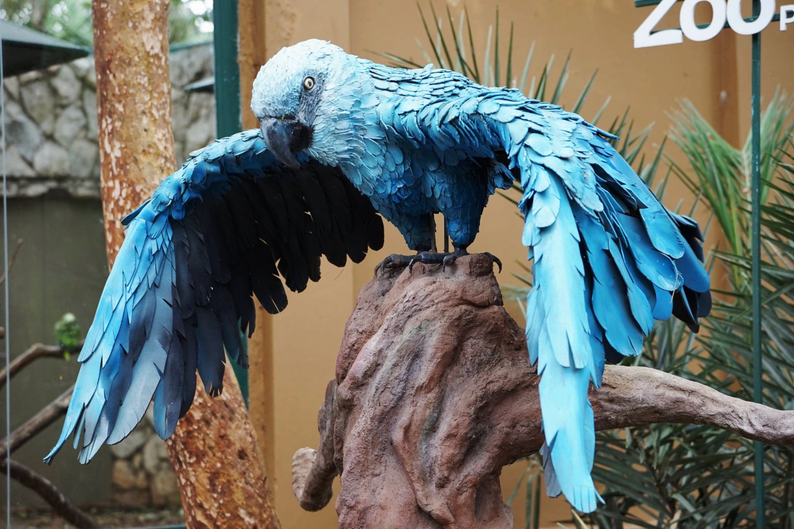 Spix’s Macaw statue