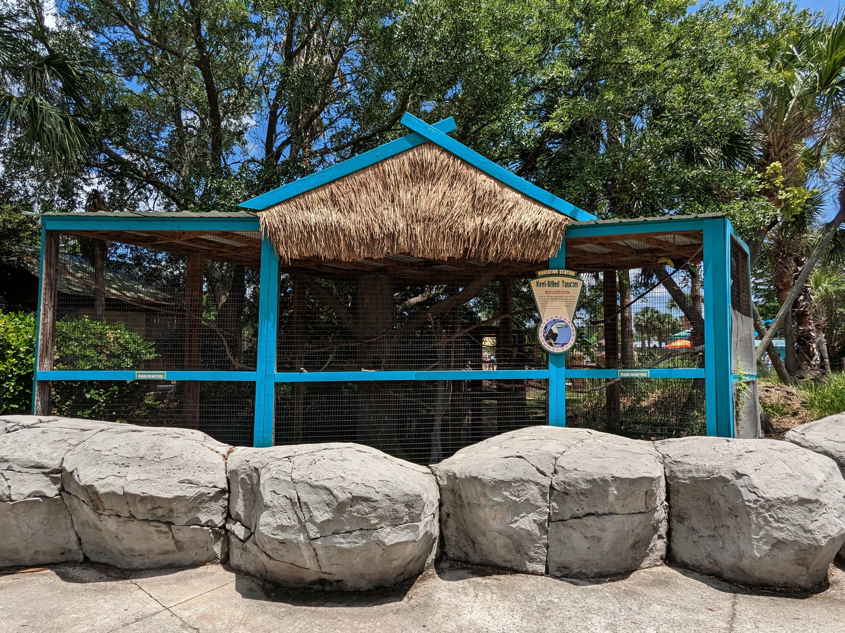 Splash Island - keel billed toucan