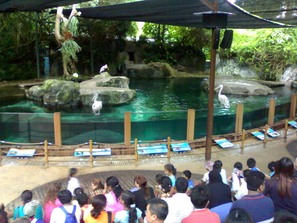 Splash Safari, Singapore Zoo