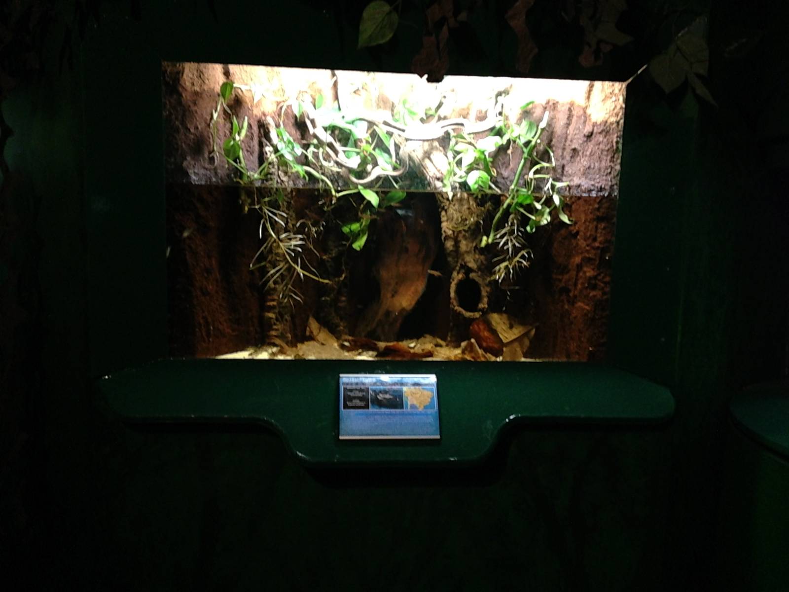Splash Tetra Tank at Blue Planet Aquarium - 05/10/2013