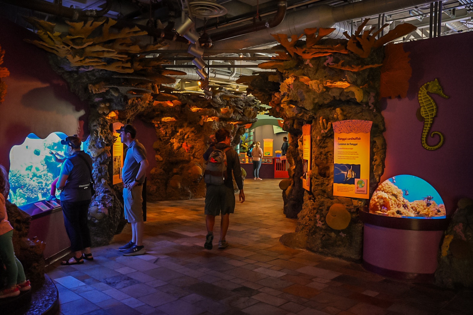 'Splash Zone: Coral Kingdom' (final look)