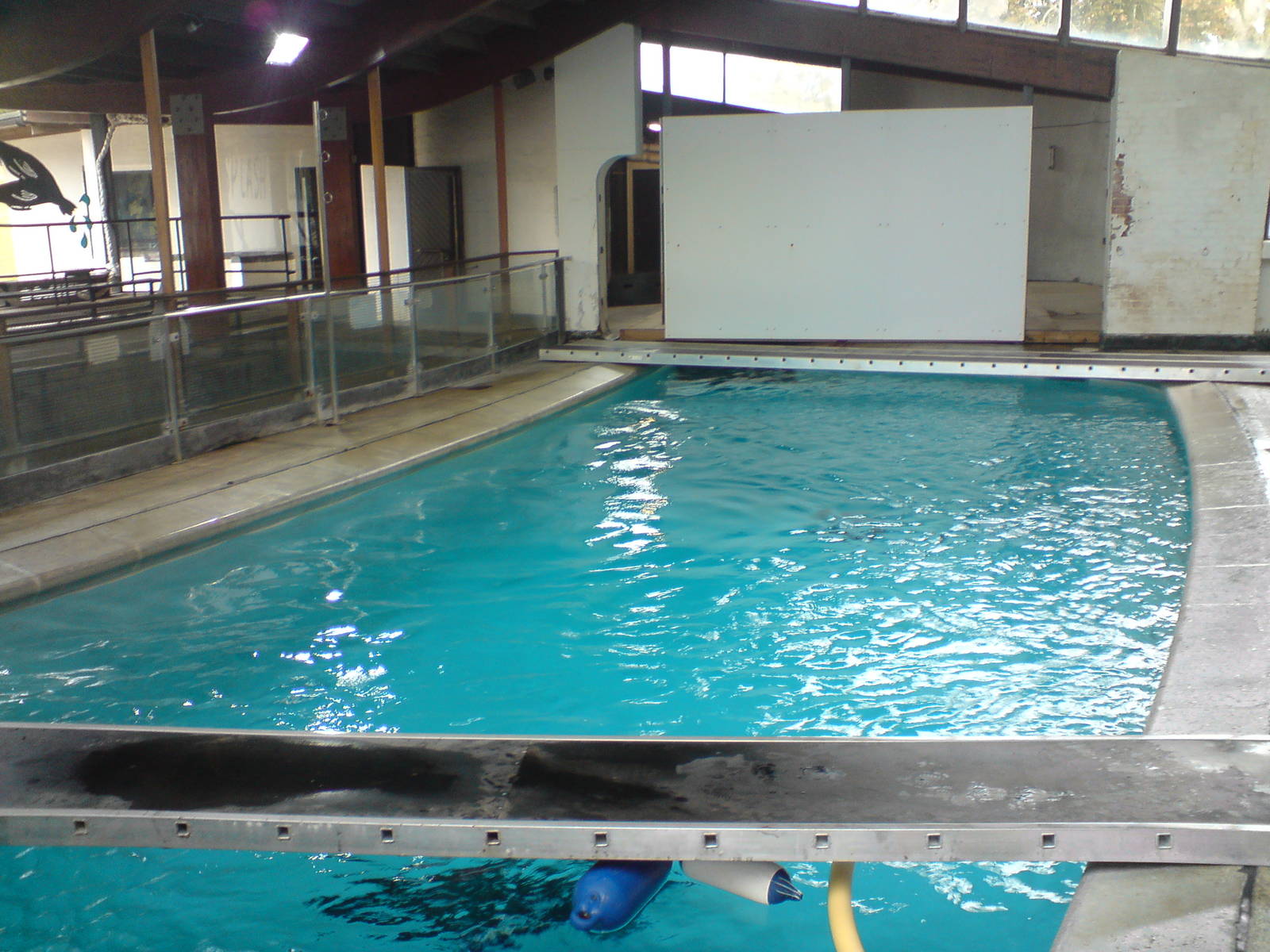 Splash Zone indoor pool