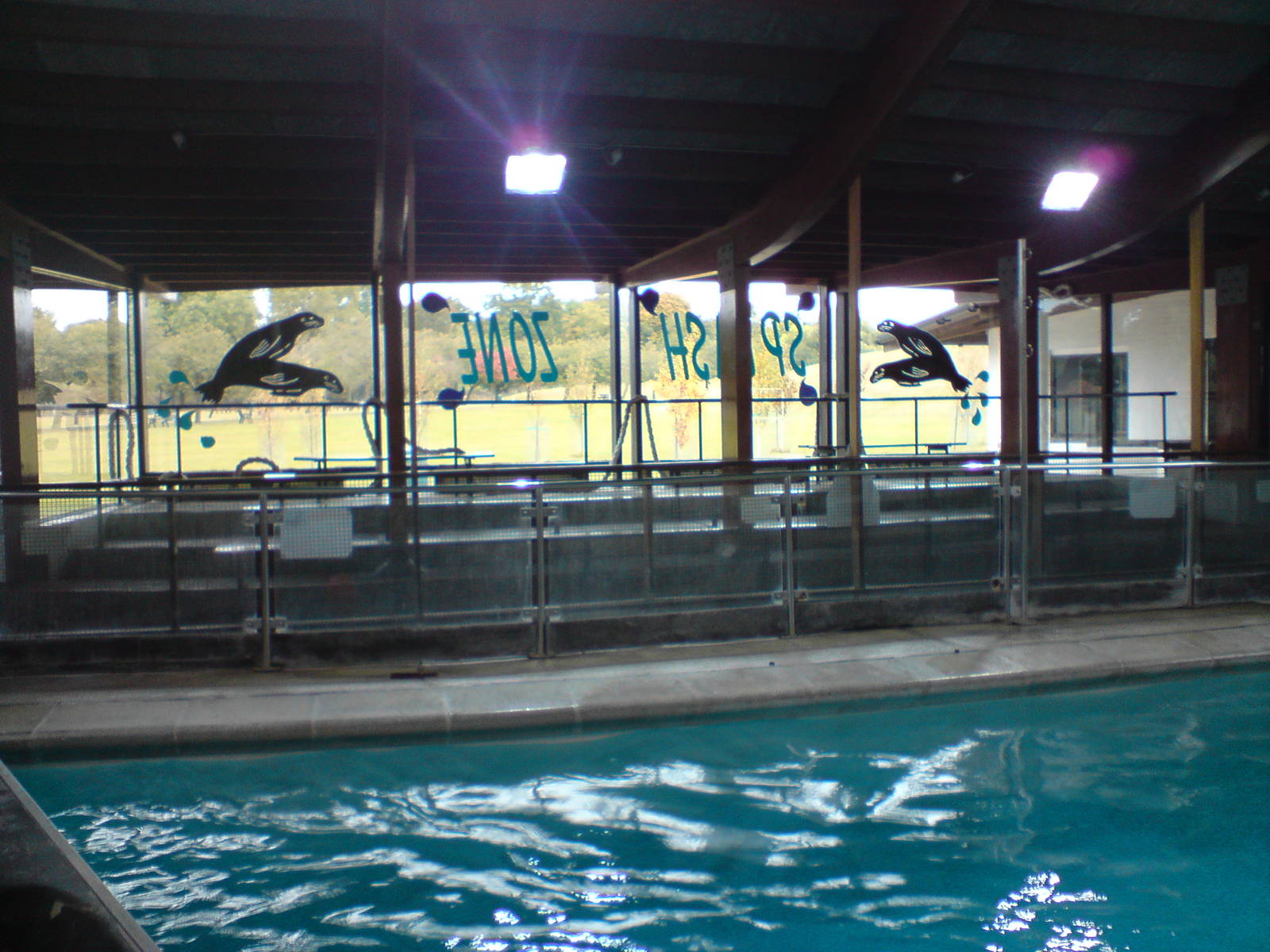 Splash Zone indoor viewing