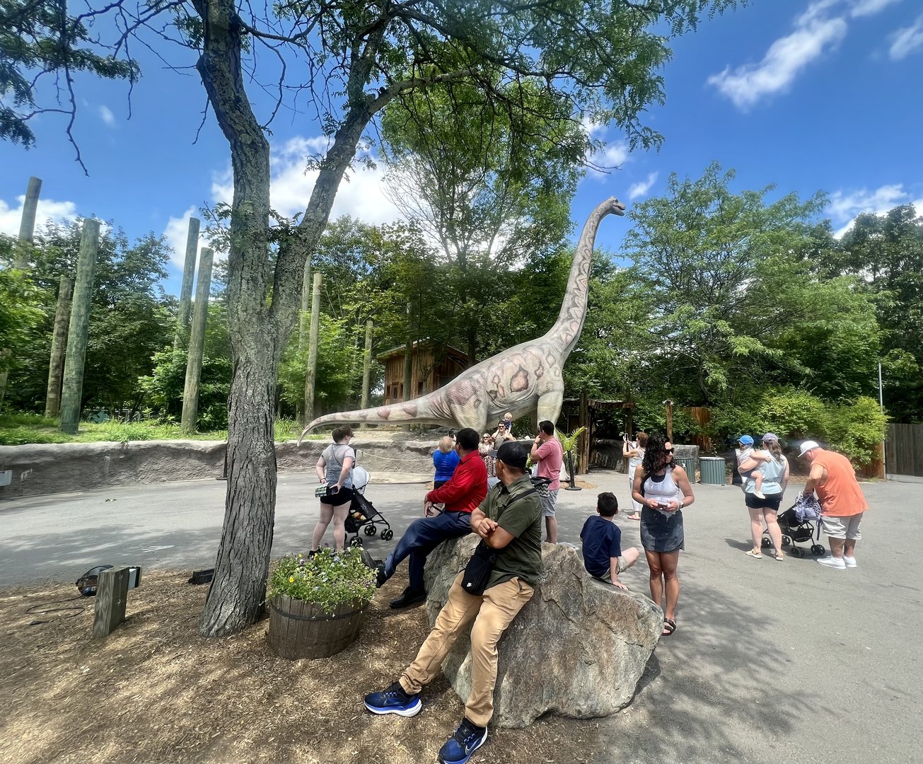 Splendid day at a popular zoo