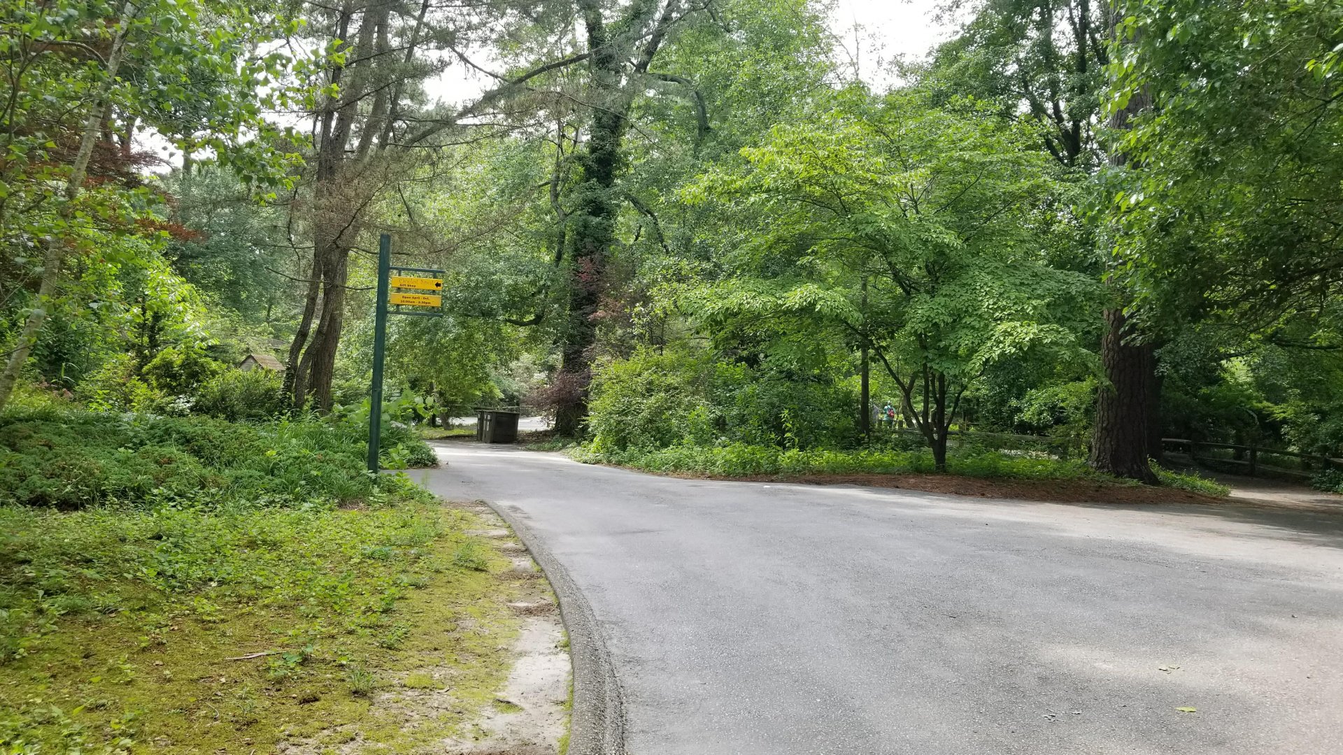 Split in pathway to gift shop