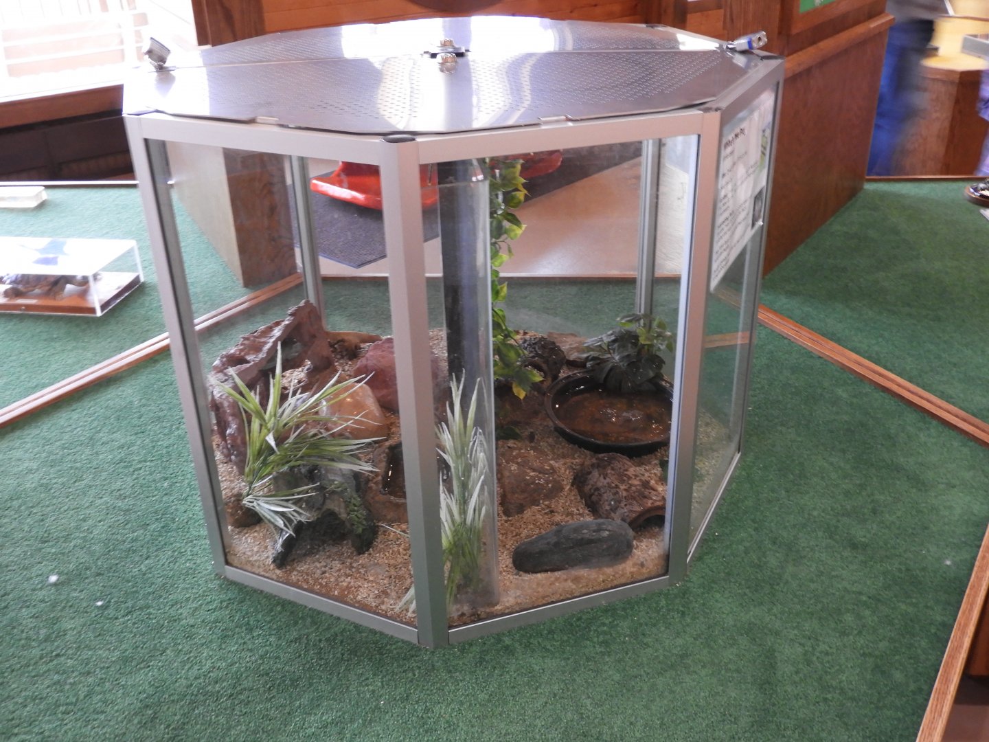 Split Terrarium - Nature Center - Bay Beach Wildlife Sanctuary