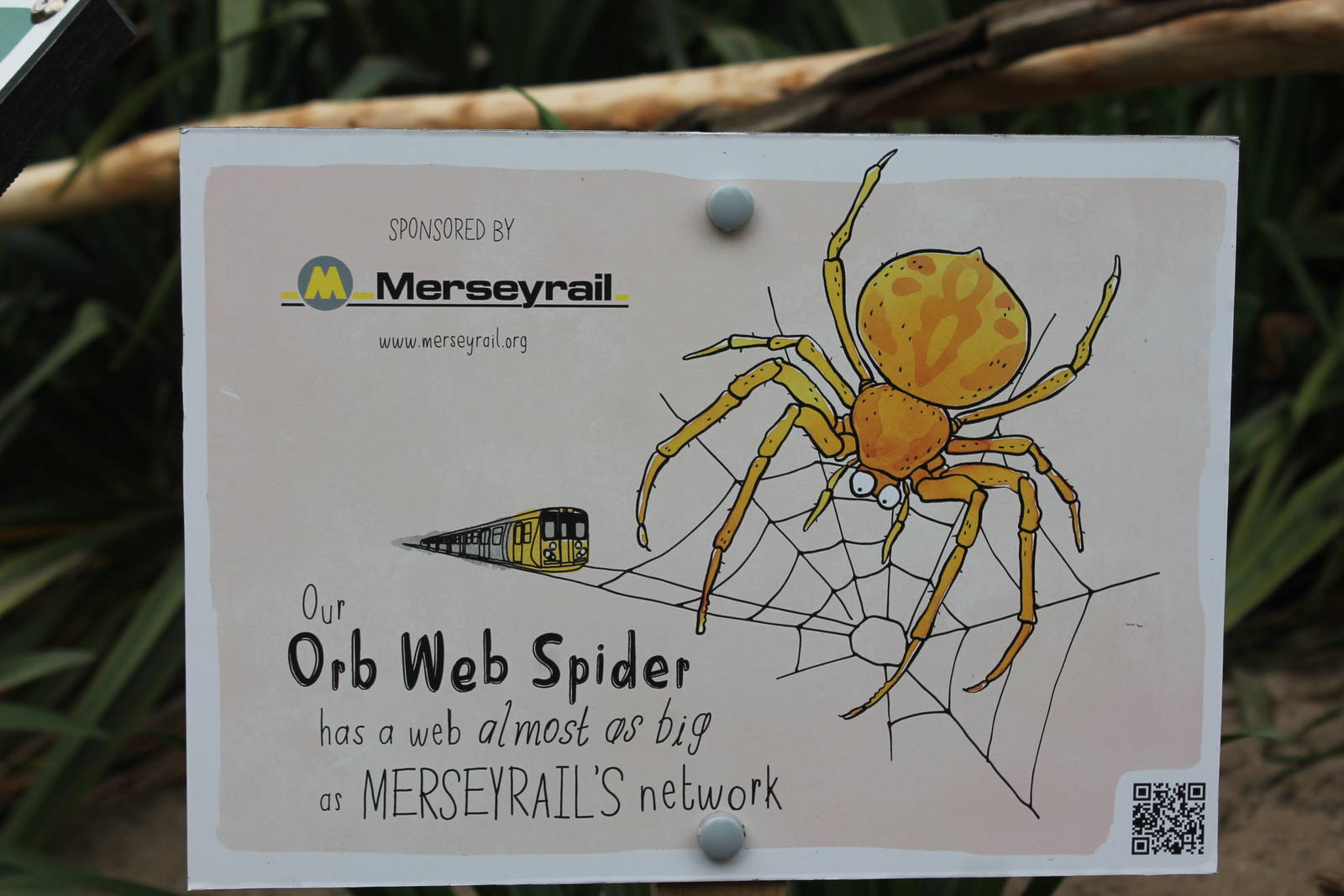 Sponshorship label Bugs Chester 2013