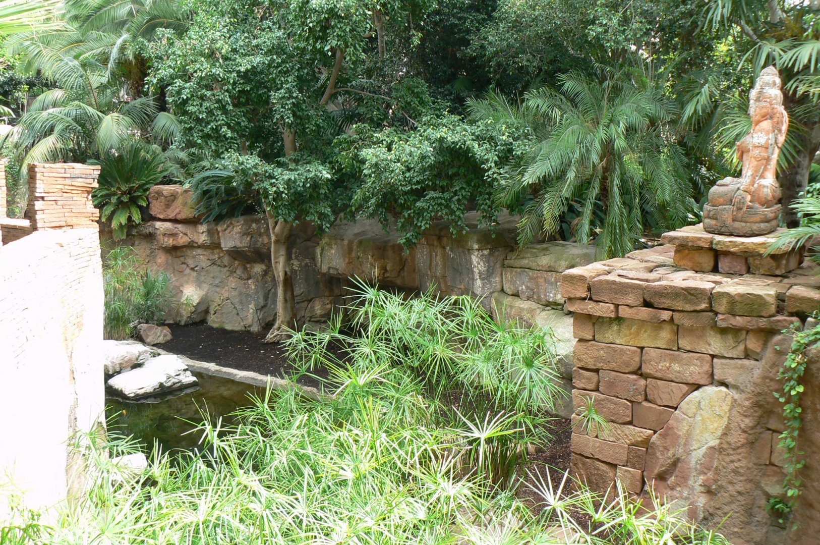 Spot-billed pelicans exhibit
