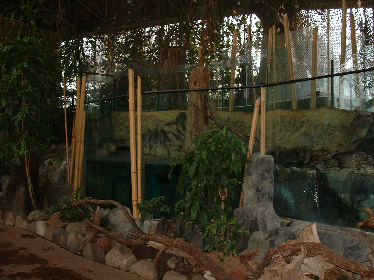 Spot-necked Otter Enclosure - Nov 2012
