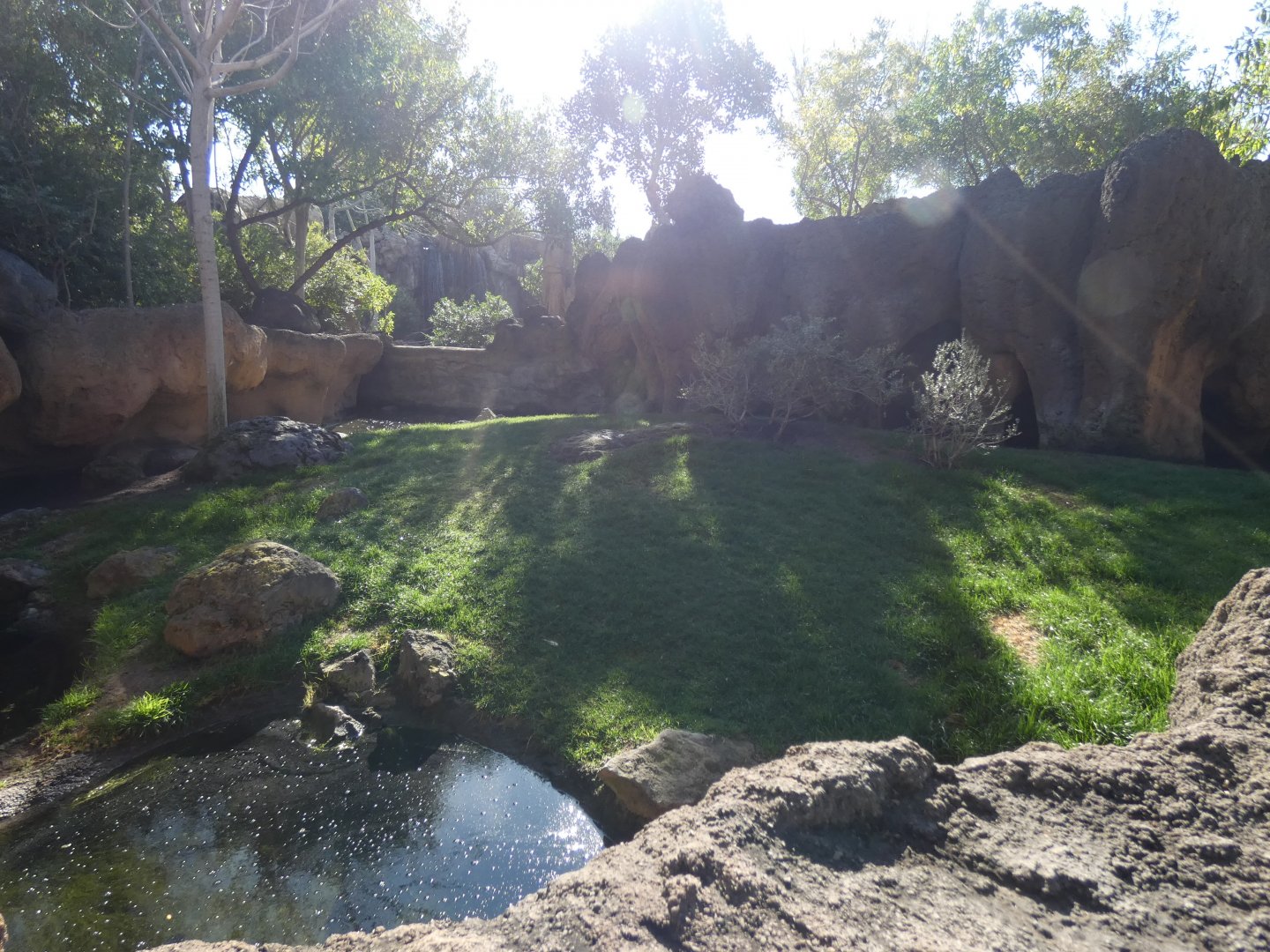 Spot-necked Otter enclosure