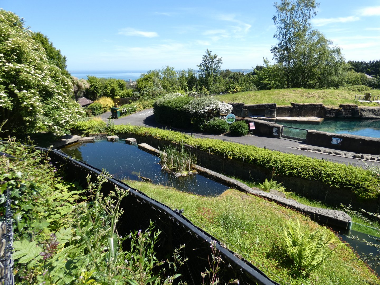 Spot-necked otter enclosure