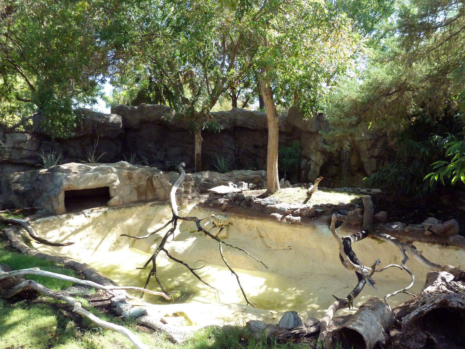 Spot-Necked Otter Exhibit
