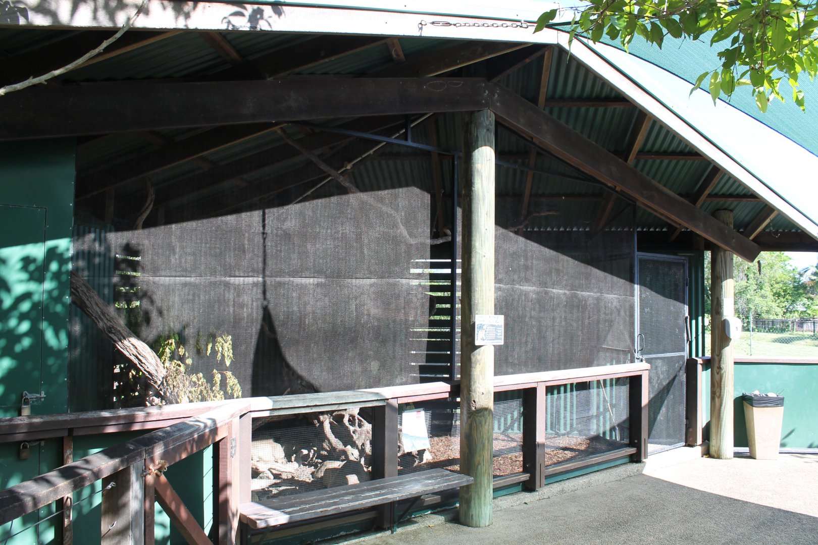 Spot-tailed Quoll exhibit