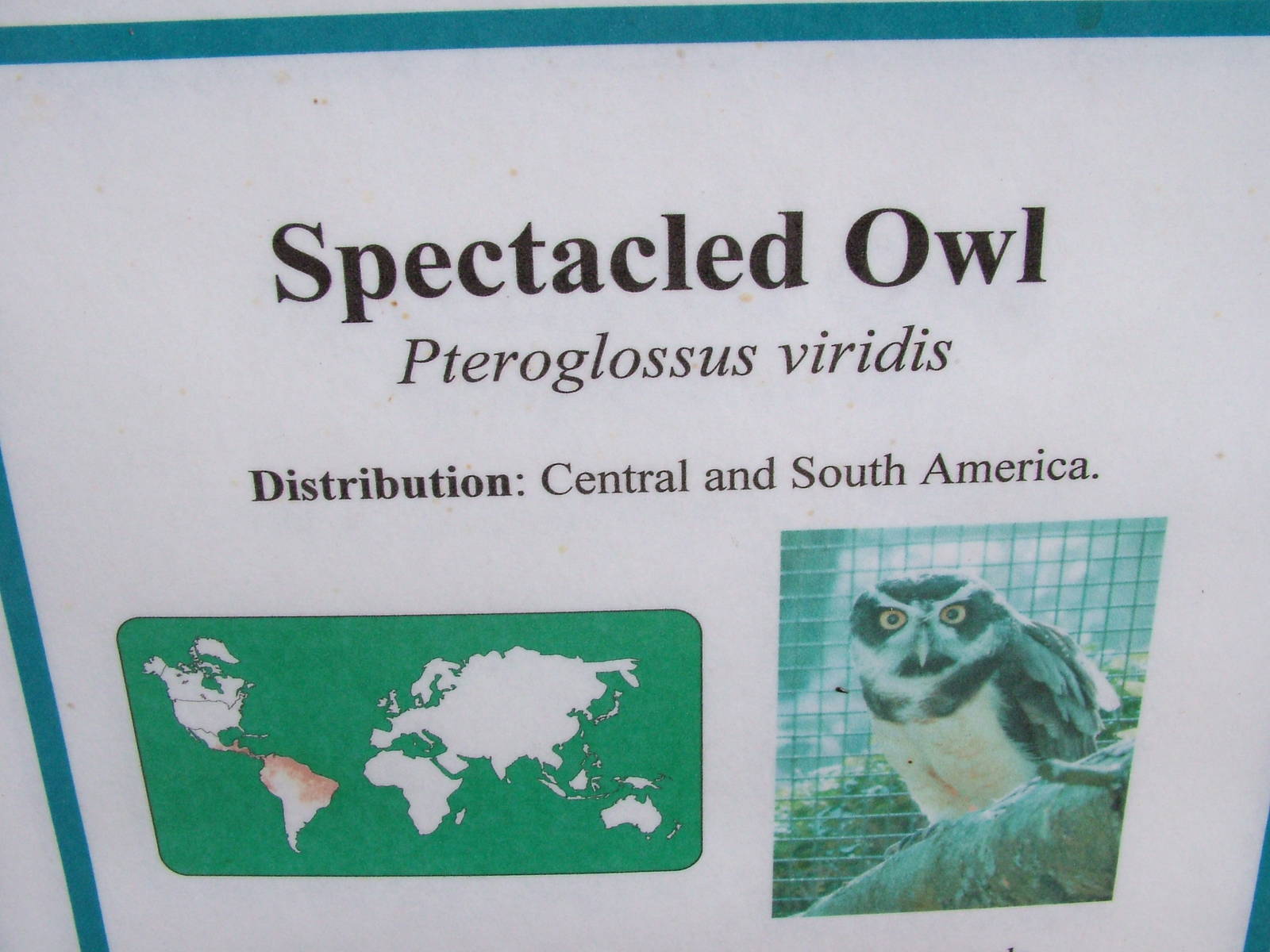 Spot the deliberate mistake at Birdland 19/09/09