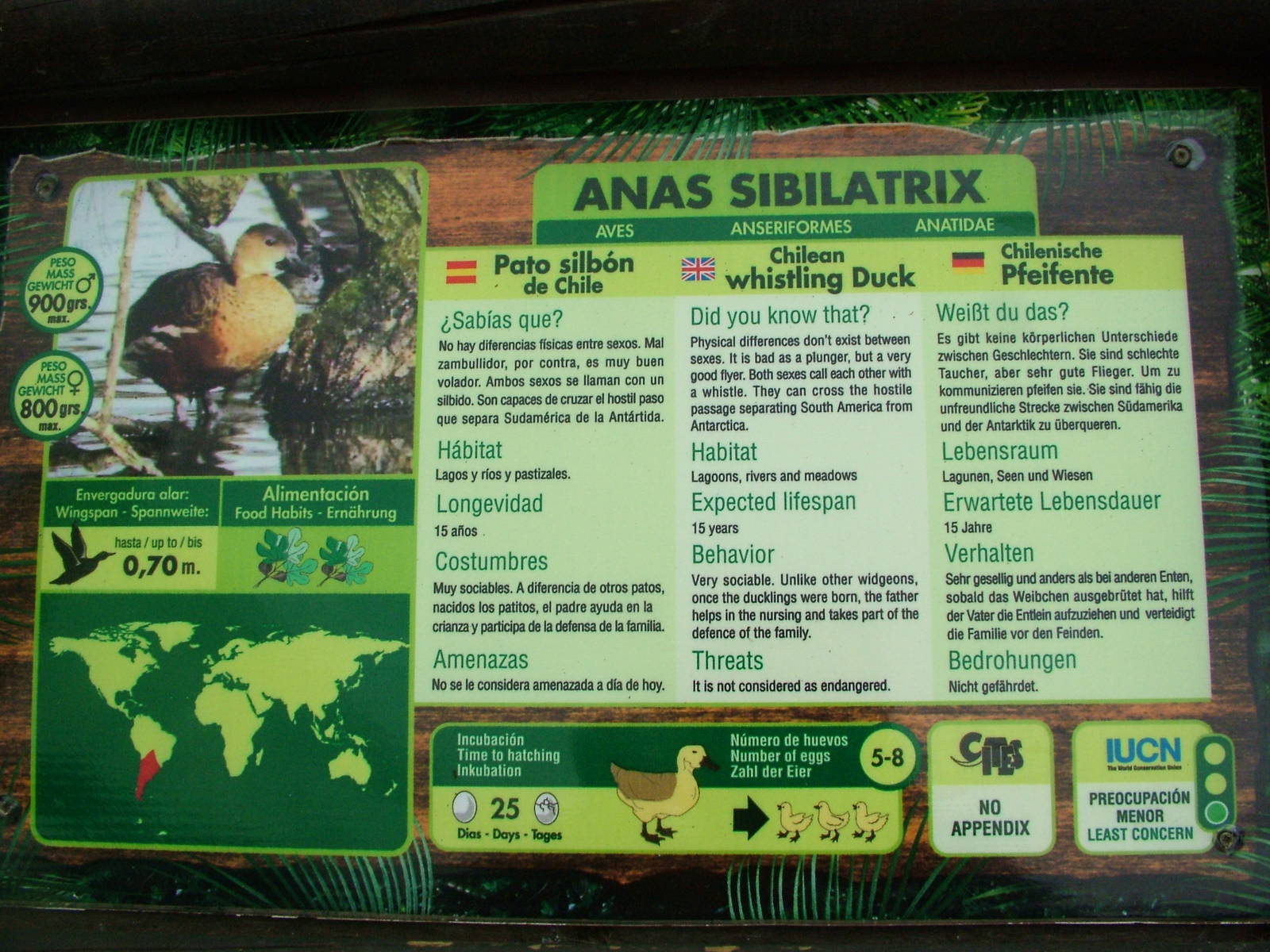 Spot the Deliberate Mistake at Jungle Park (Las Aguilas), 13/11/10