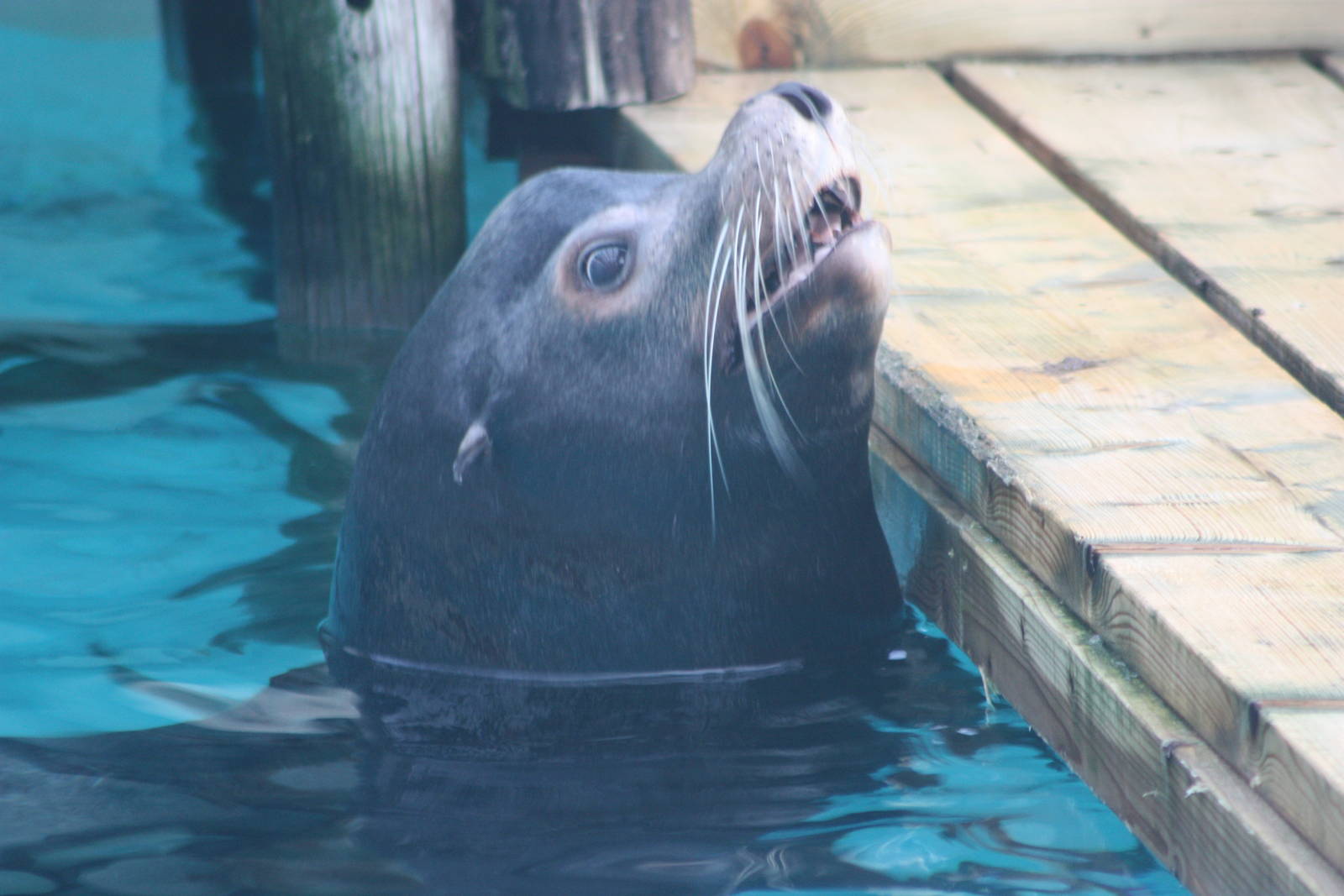 Spot the difference I, 16th January 2016