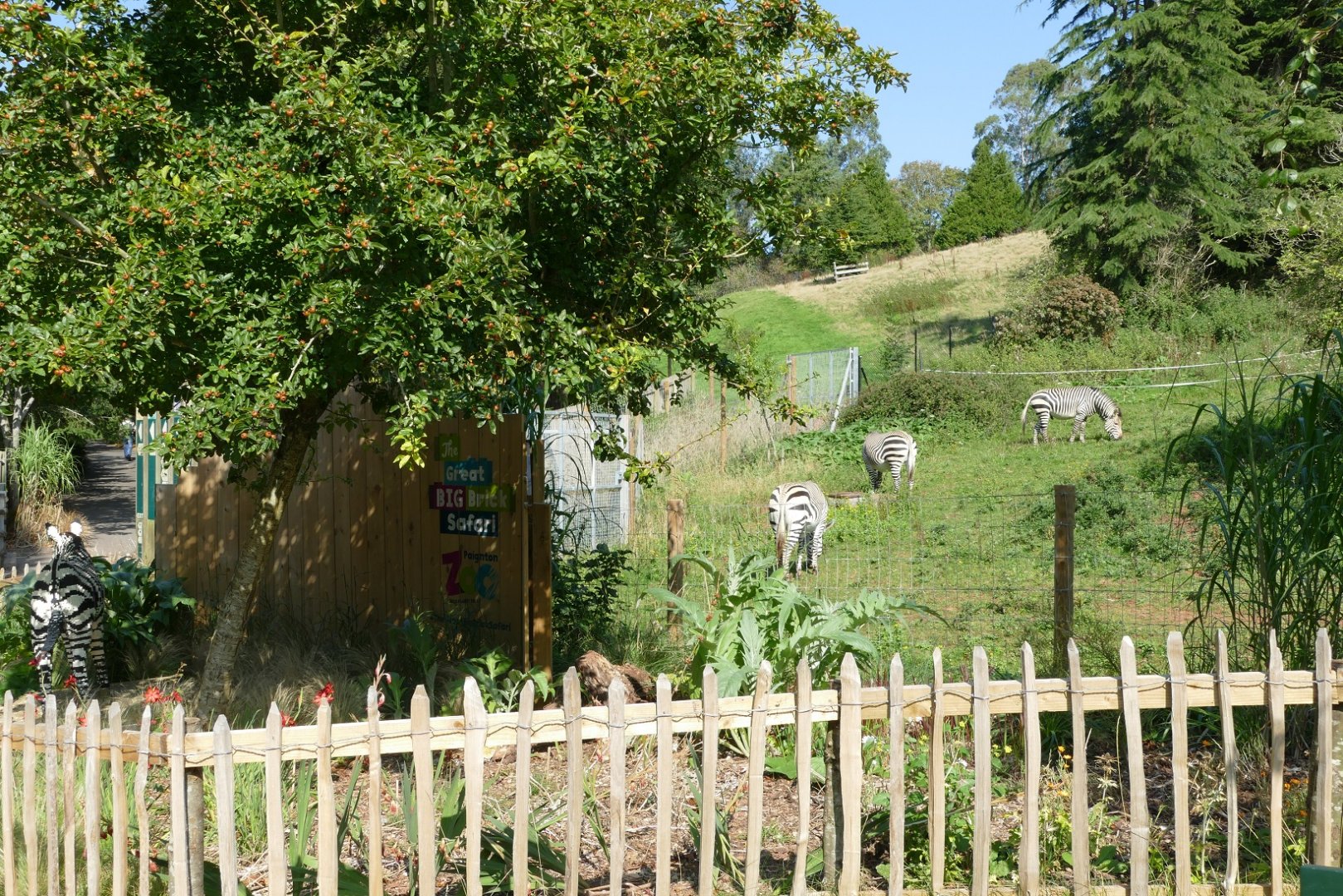 Spot the difference, September 2020