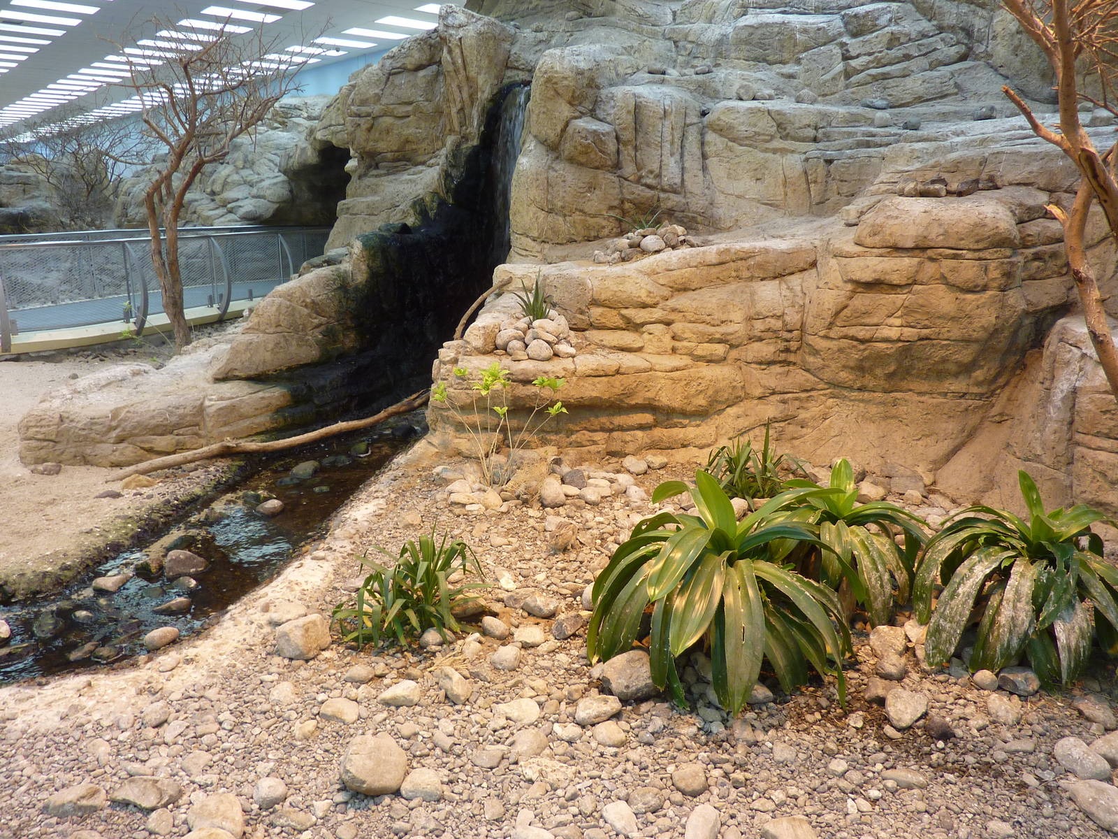 Spot the hare?, December 2011.